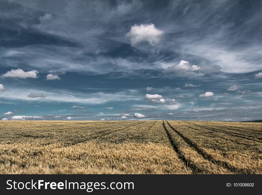 Sky, Field, Grassland, Ecosystem