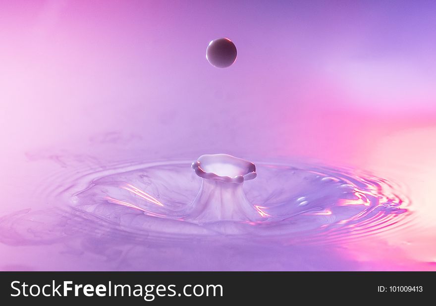 Water, Drop, Purple, Violet