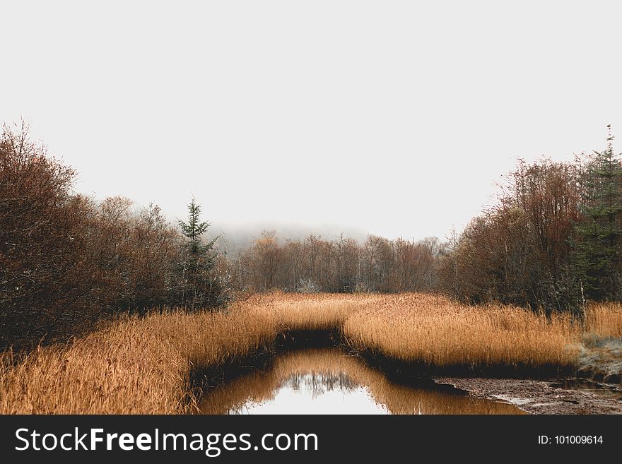 Waterway, Wetland, Reflection, Nature Reserve