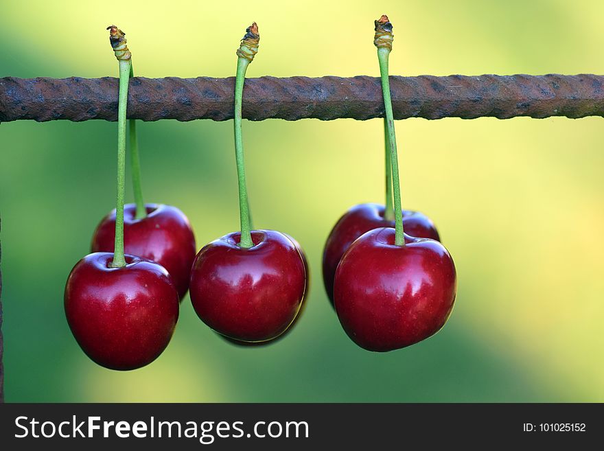 Cherry, Fruit, Produce, Still Life Photography