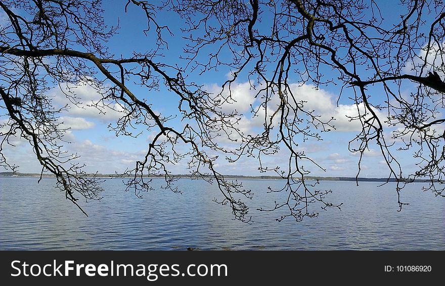 Water, Sky, Reflection, Branch