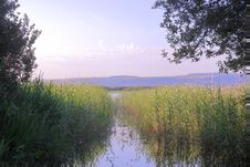Free Sky, Wetland, Nature Reserve, Water Royalty Free Stock Image - 101094826