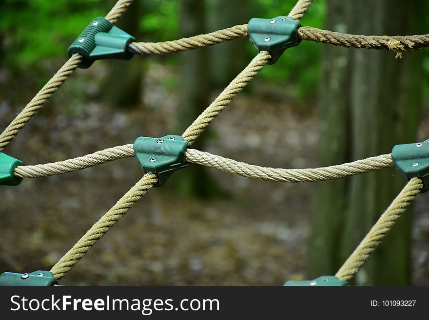 Rope, Branch, Tree, Plant Stem