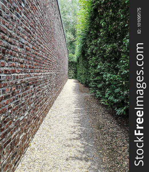 Path, Wall, Leaf, Tree