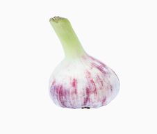 Garlic Royalty Free Stock Images Garlic Royalty Free Stock Images