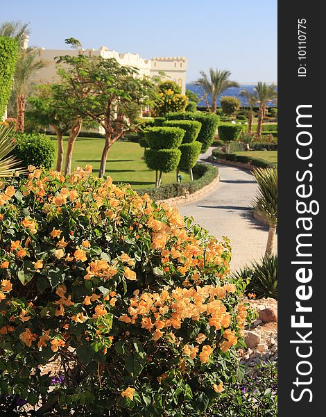 Flower garden in a Red Sea resort - Egypt