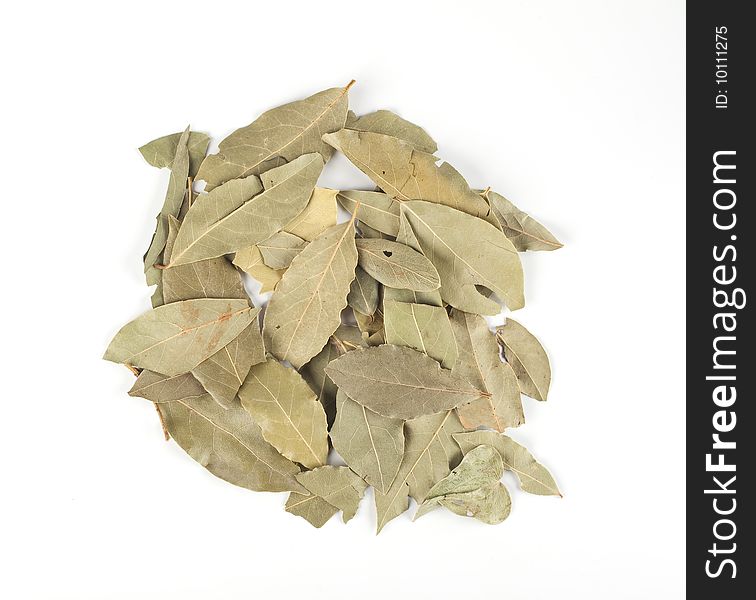 Dried bay leaves on a white background