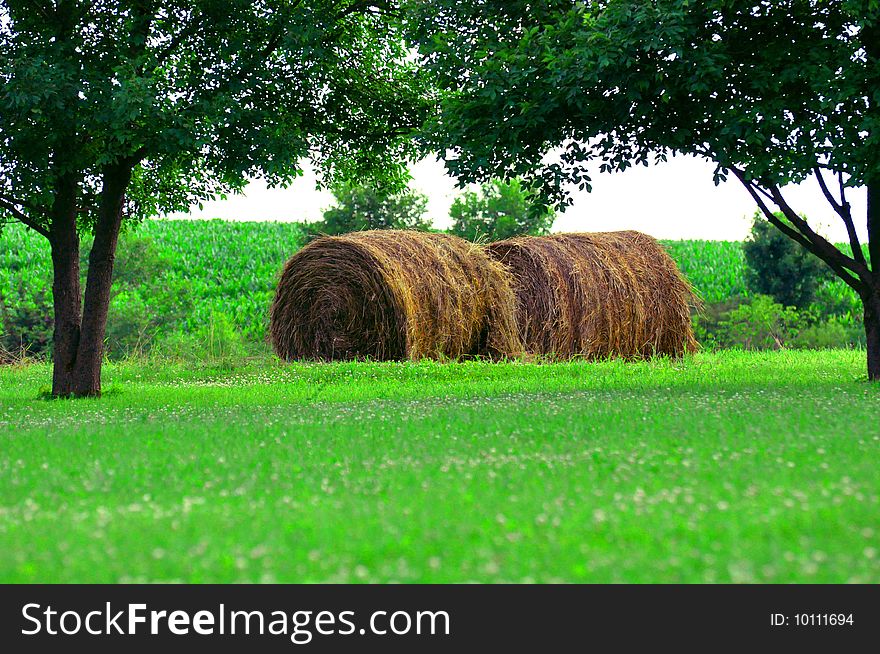Two Large Round Hay Bales in Field