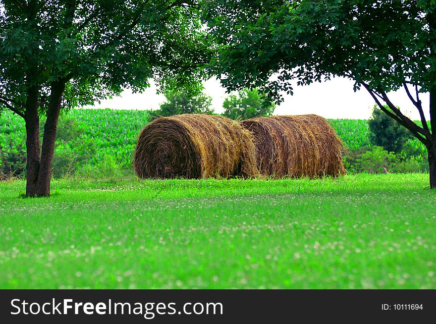 Hay Bales