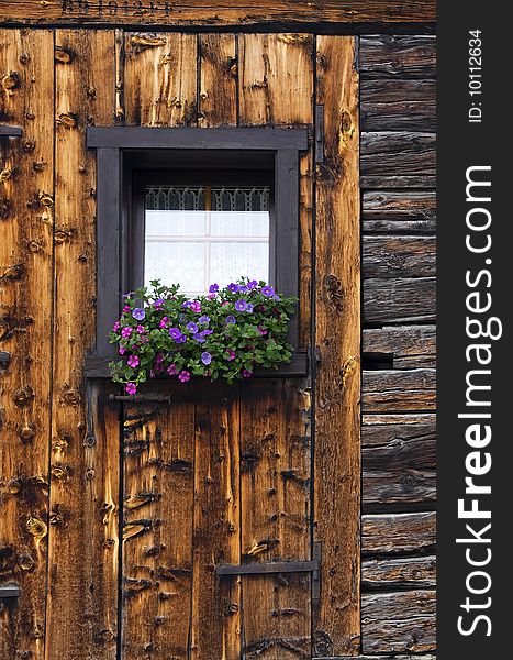 Window with potted flowers and wooden wall