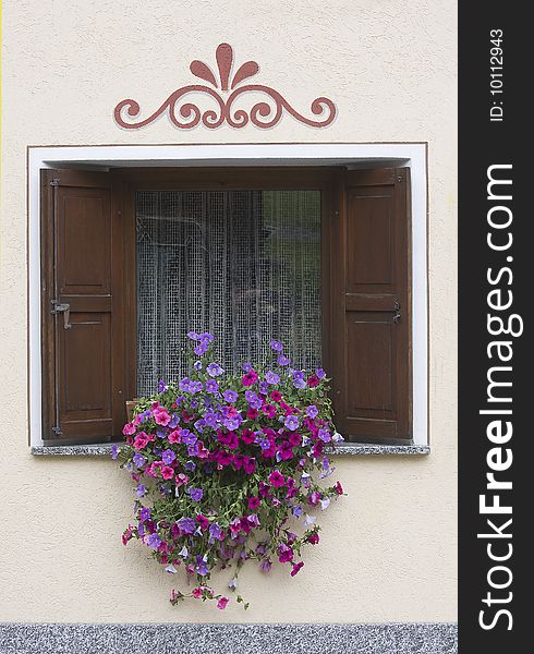 Window with potted flowers and blue wall