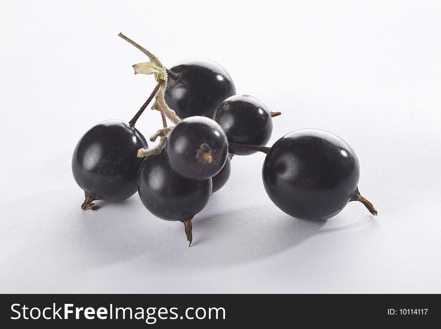 Close up of a black currant on a white background isolated.