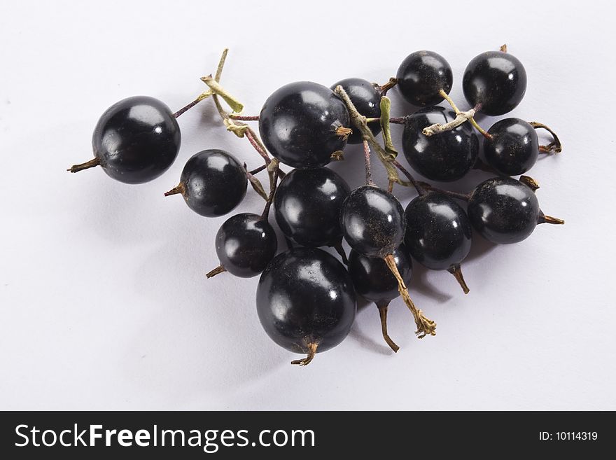 Close up of a black currant on a white background isolated.