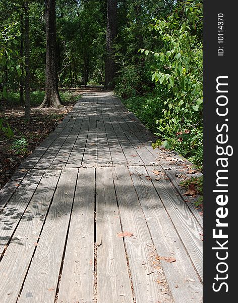 A wooden path or walkway leading through a lush forest in summer time with sunlight  and shade scattered throughout. A wooden path or walkway leading through a lush forest in summer time with sunlight  and shade scattered throughout.