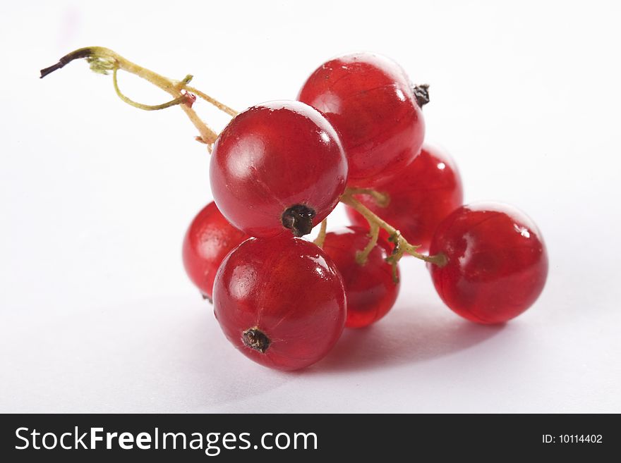 Close up of a red currant on a white background isolated.