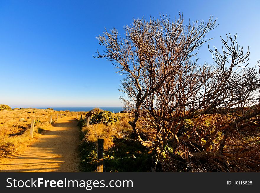 Scenic landscape along the Great Ocean Road in Australia. Scenic landscape along the Great Ocean Road in Australia