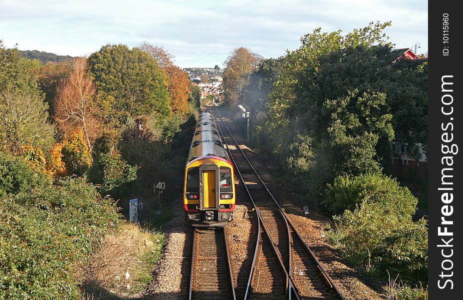 train on track between trees