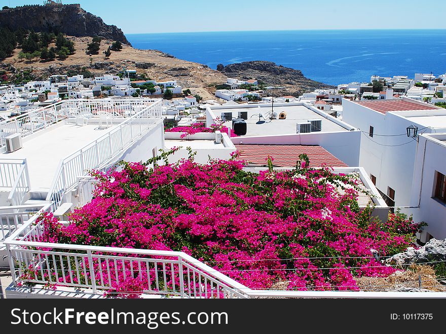 Lindos in Greece and pink flowers on roof of the house. Lindos in Greece and pink flowers on roof of the house