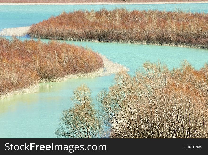 Given a forest beside a lake. Given a forest beside a lake