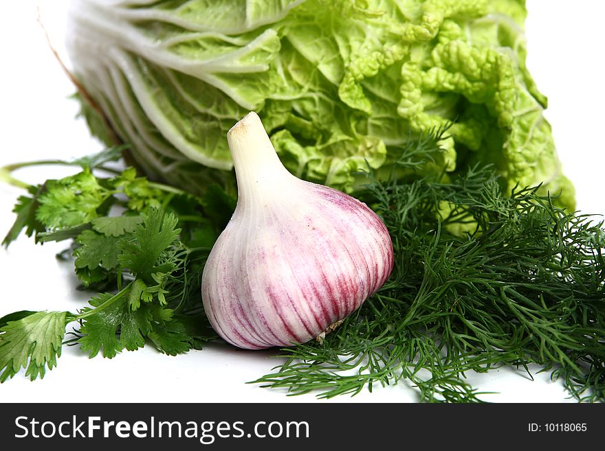 The vegetables - fennel, lettuce and garlic