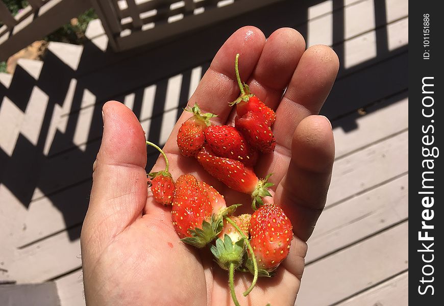Another Small Handful of Berries