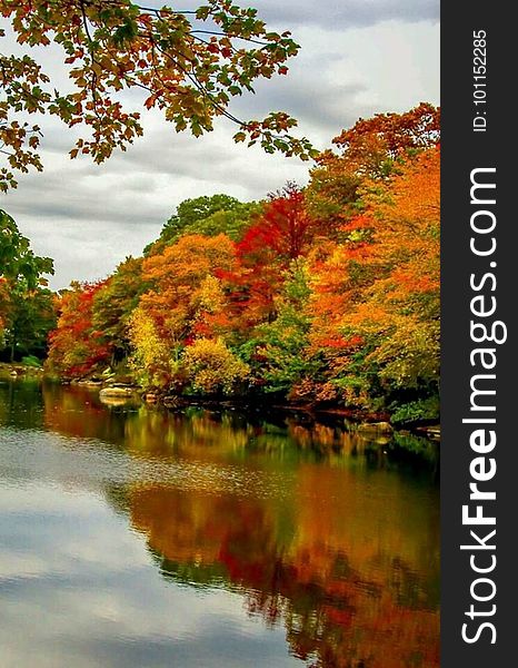 Scenic view of colorful autumn trees reflecting on lake.