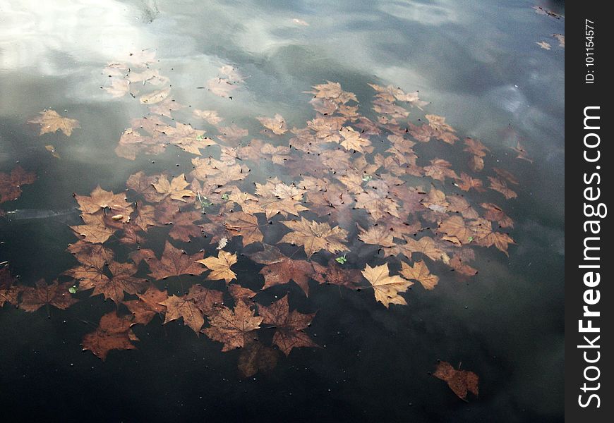 Water, Sky, Atmosphere, Reflection