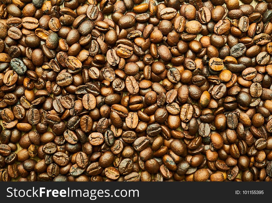 Jamaican Blue Mountain Coffee, Nuts & Seeds, Commodity, Seed