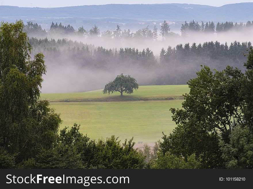 Mist, Nature, Highland, Fog