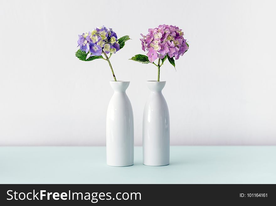 Vase, Purple, Lilac, Flower