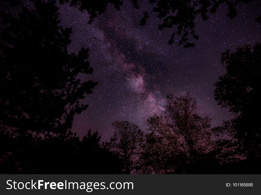 Sky, Nature, Atmosphere, Night