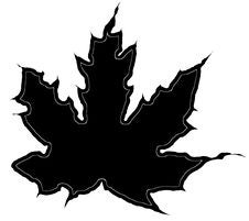 Maple Leaf Silhouette Stock Photos Maple Leaf Silhouette Stock Photos