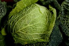 Green Cabbage Stock Image Green Cabbage Stock Image