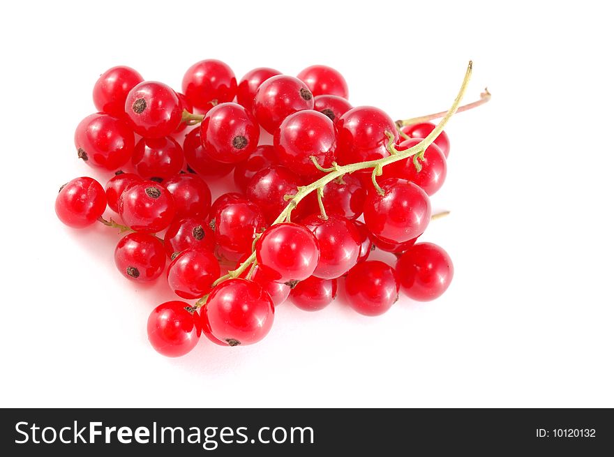 A lot of berries of red currant