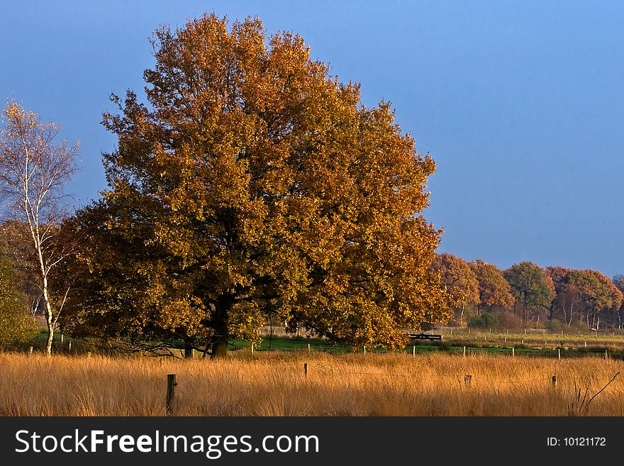 Landscape of a farmland with colorful autumn trees