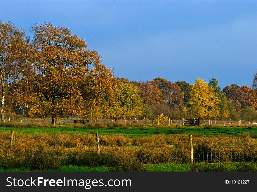 Landscape of a farmland with colorful autumn trees