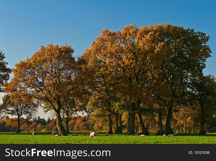 Landscape of a farmland with colorful autumn trees