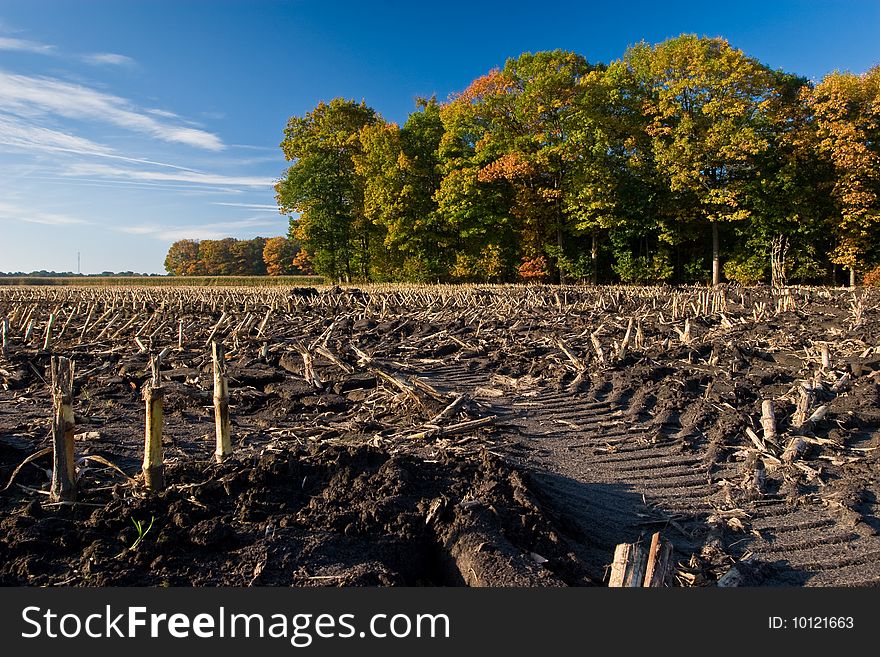Landscape of a farmland with colorful autumn trees on a sunny day