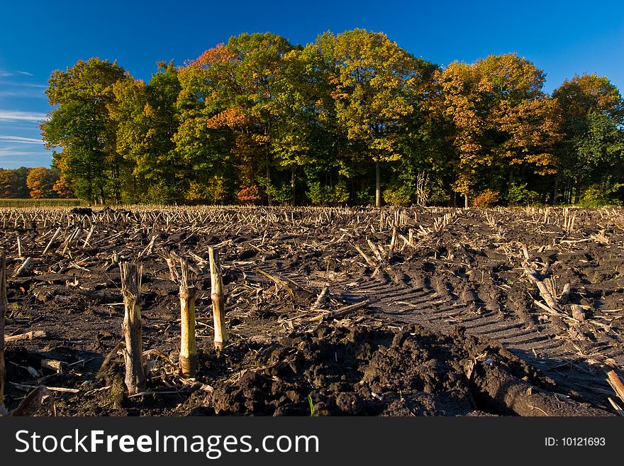 Landscape of a farmland with colorful autumn trees