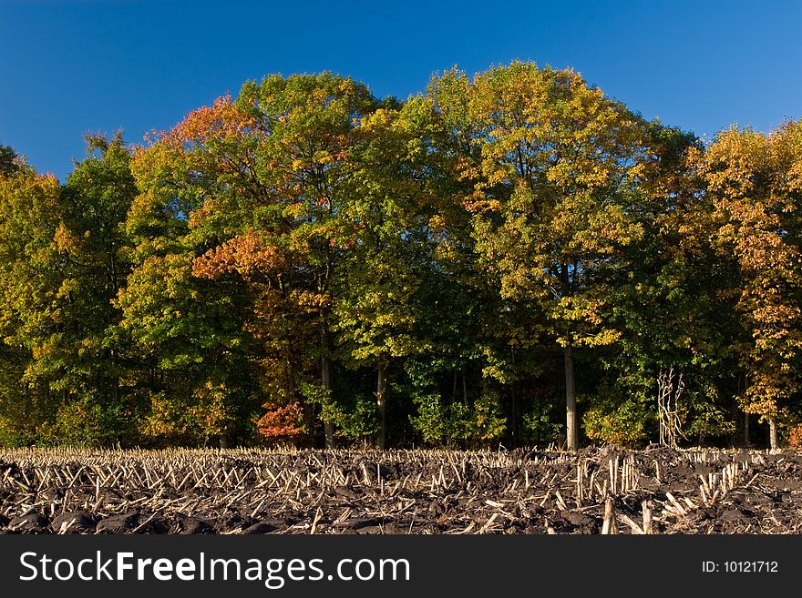 Landscape Of A Farmland With Colorful Autumn Trees