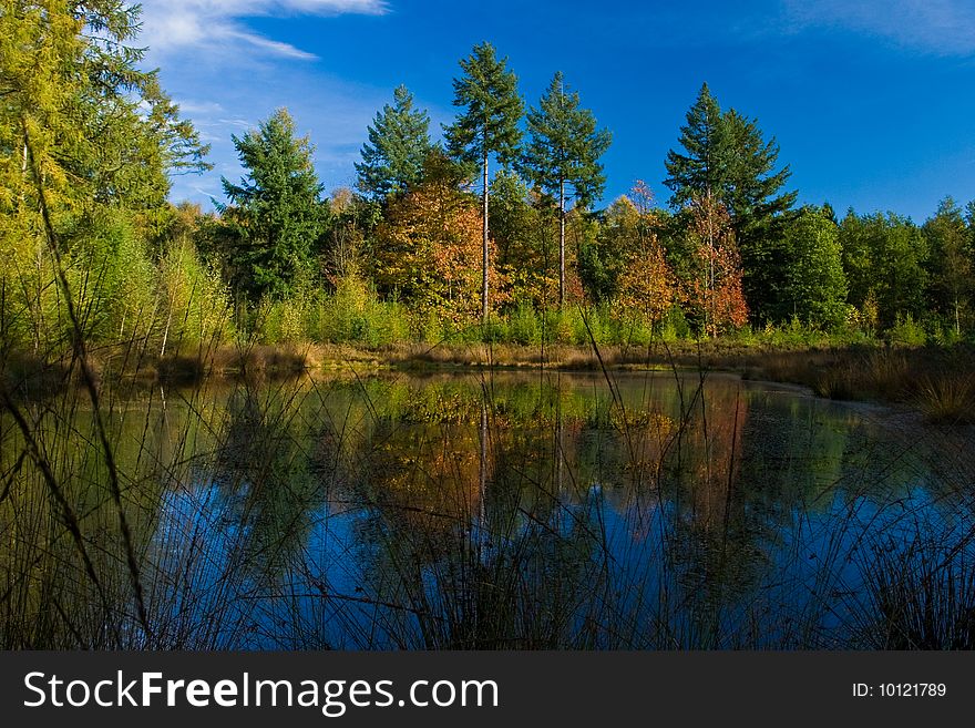 Landscape Of A Lake With Colorful Autumn Trees