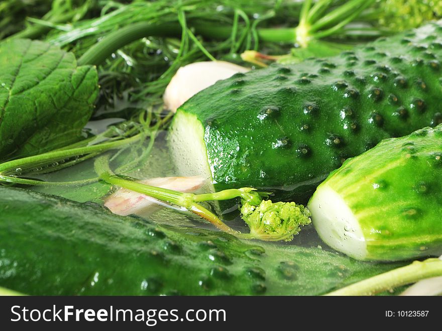 Cucumbers in marinade with dill and garlic