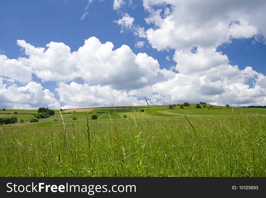 Green meadow with blue sky