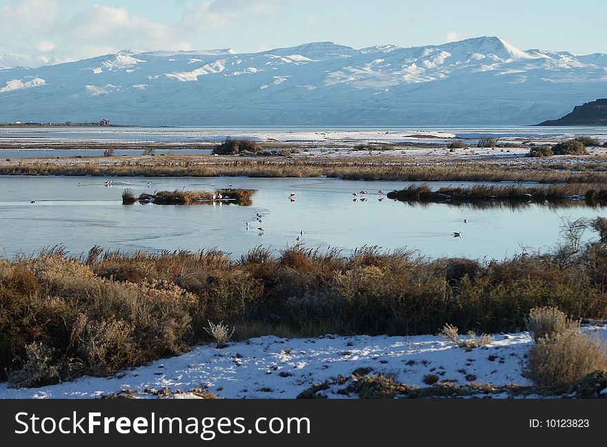 Lake In Winter