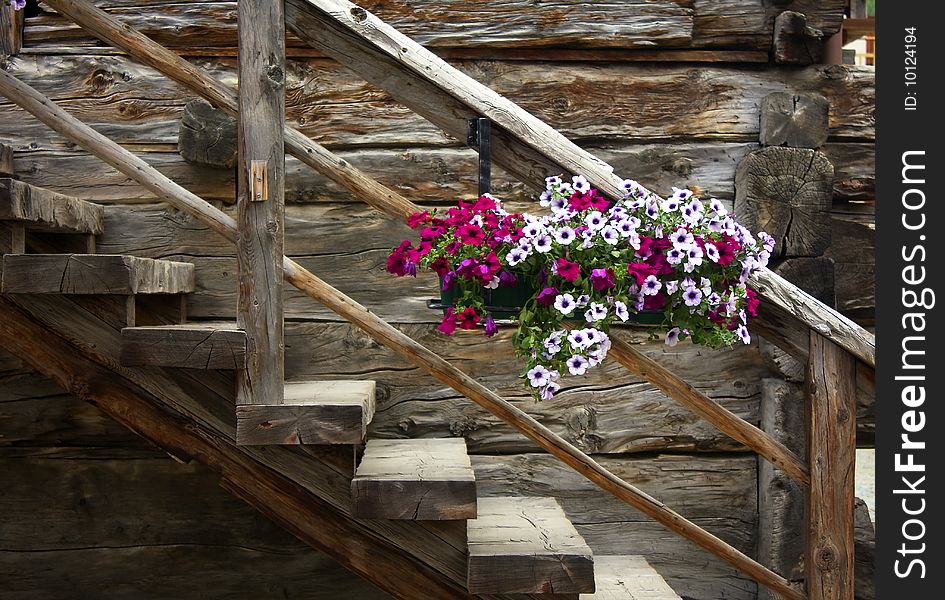 Old wooden staircase with flowers. Old wooden staircase with flowers