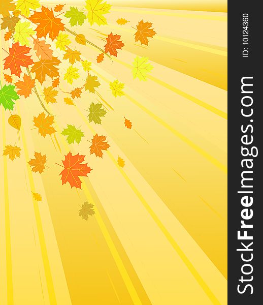 Vector autumn leaves background yellow
