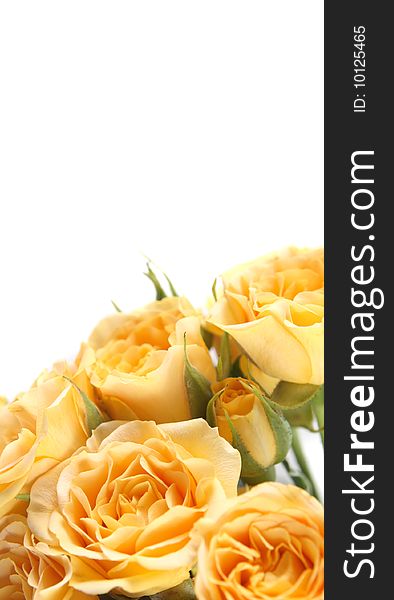 Background with a yellow rose and a place for the text.