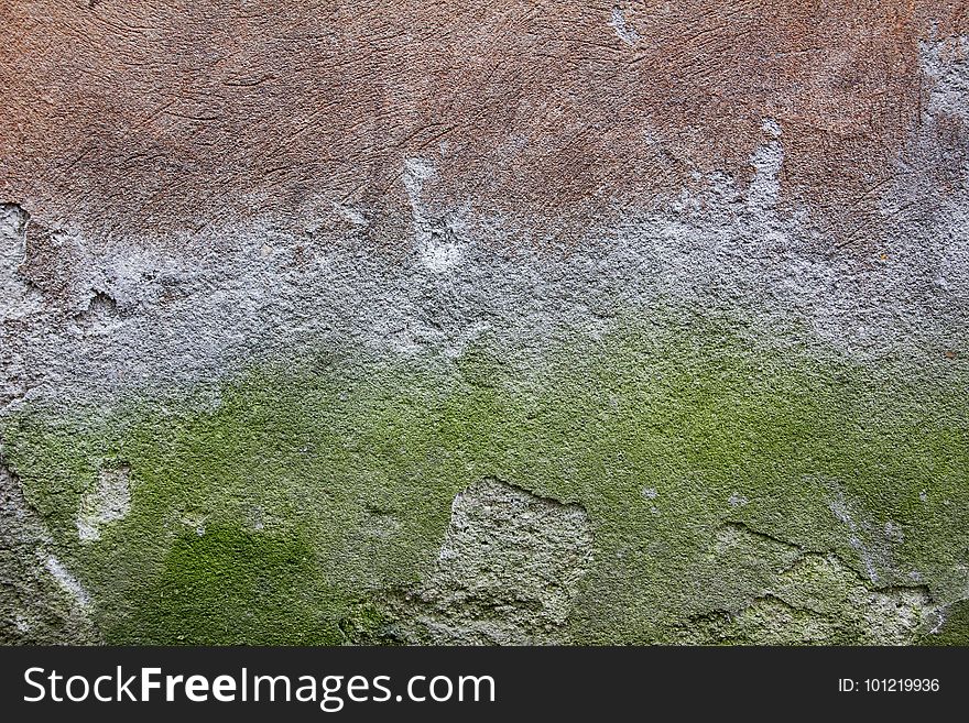 Green, Wall, Texture, Grass