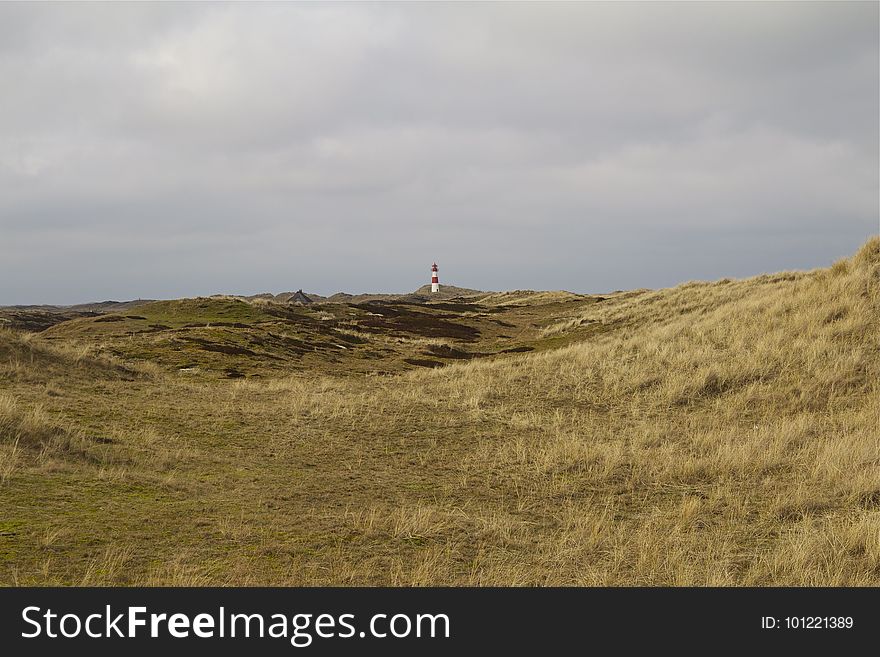 Sky, Grassland, Grass, Coast