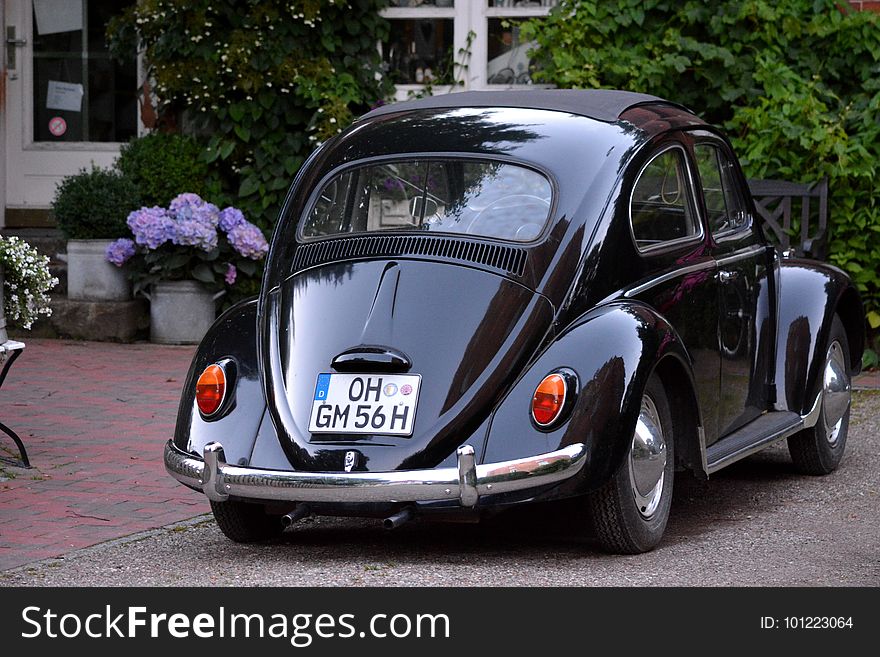 Car, Motor Vehicle, Vehicle, Volkswagen Beetle